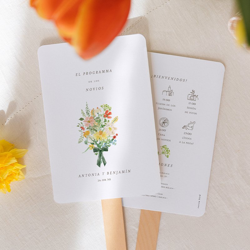 Abanico con programa