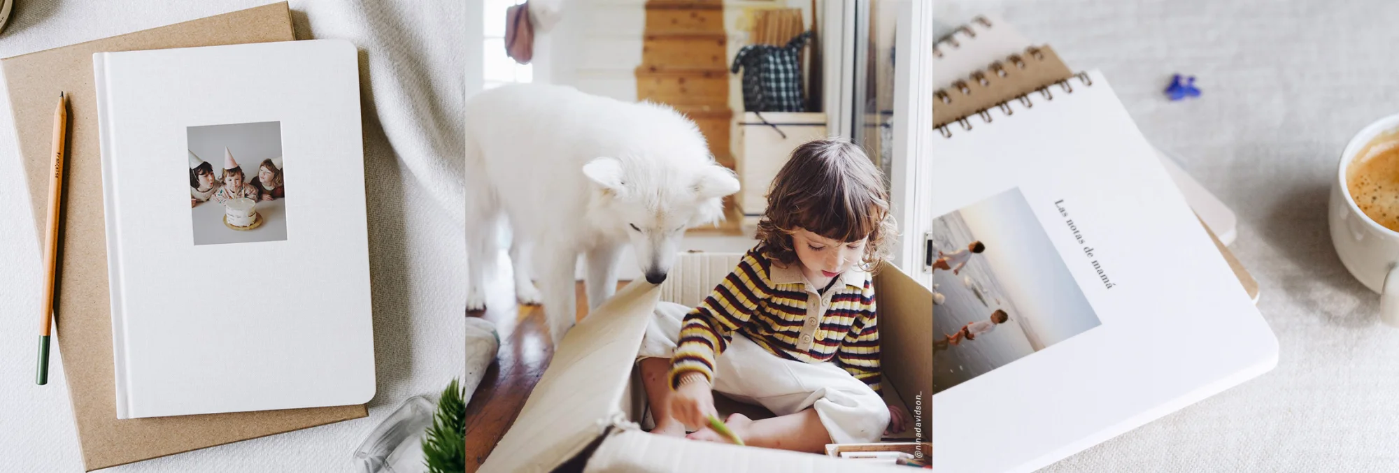 Tus propósitos y proyectos