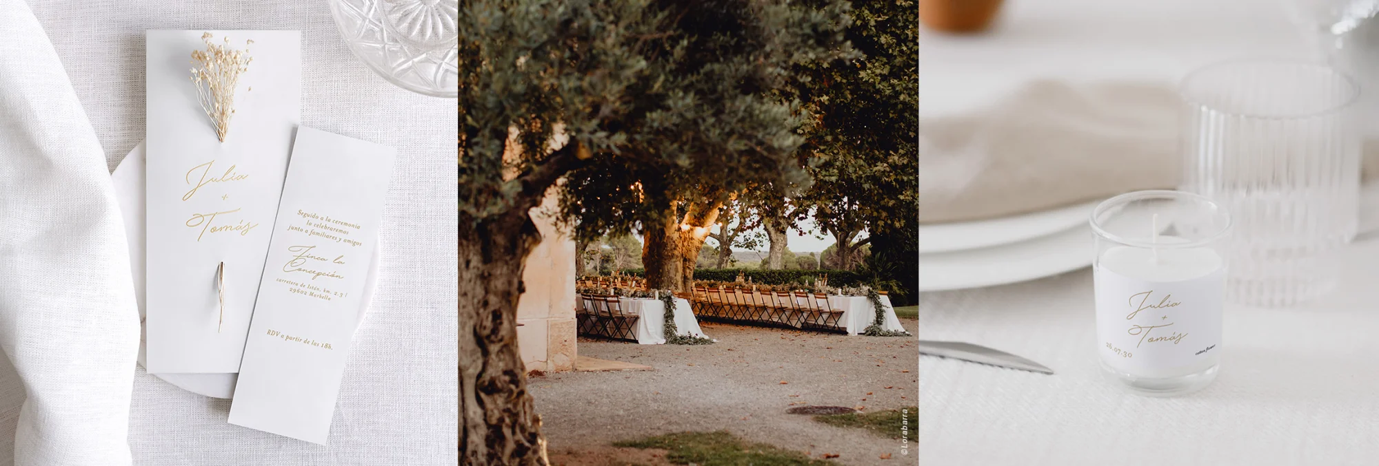 La invitación Blanca II