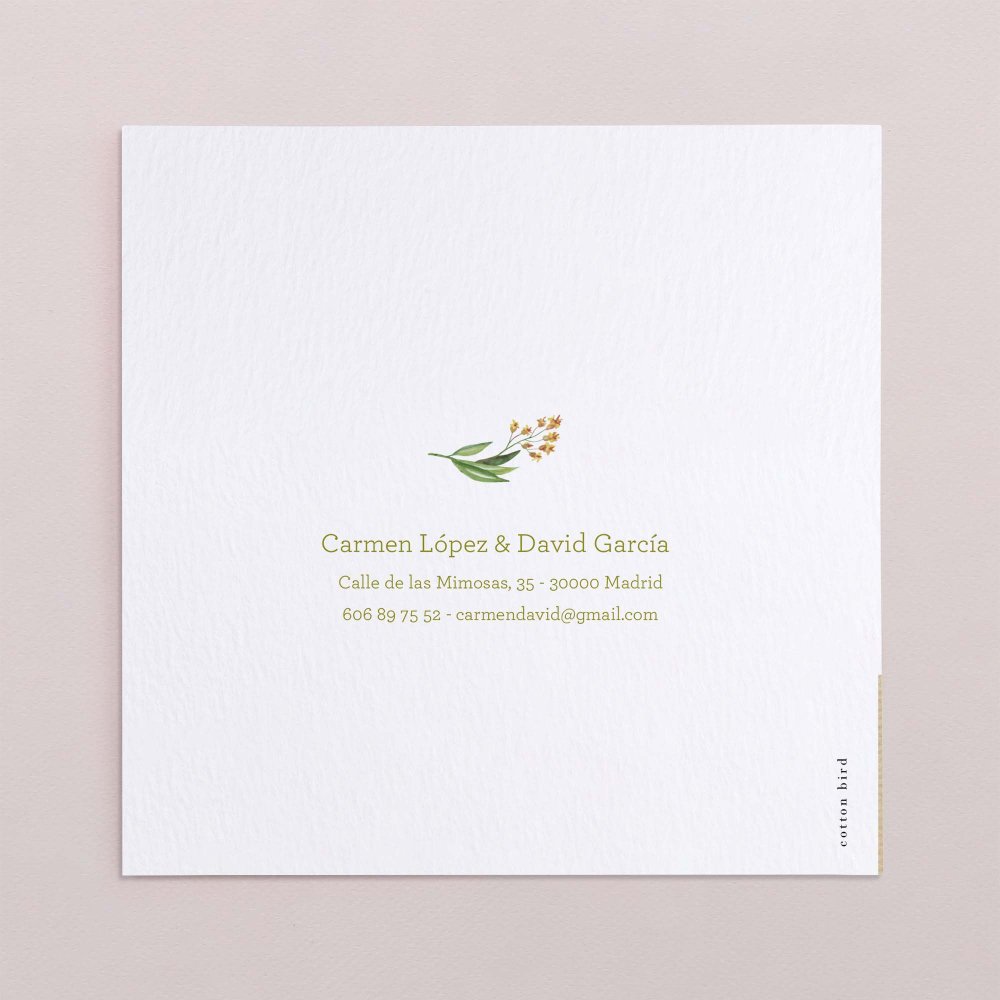 Lily of the Valley
