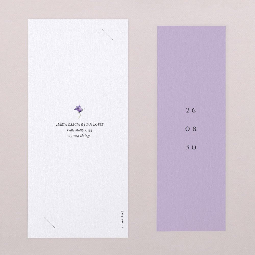 Violetta