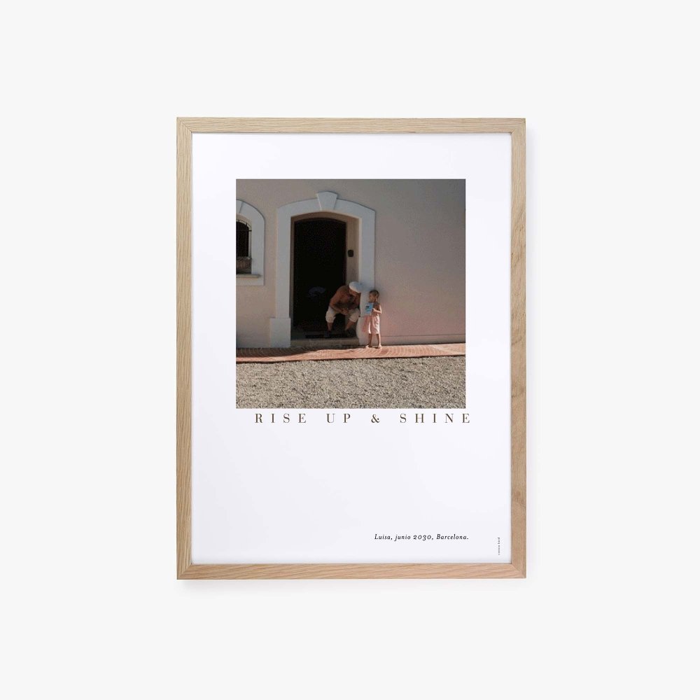 Pola