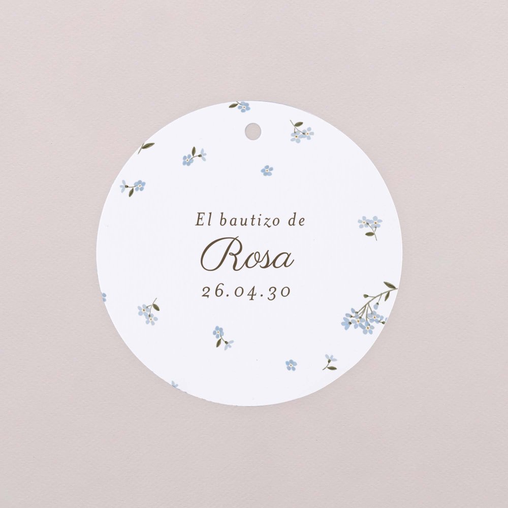 Little myosotis