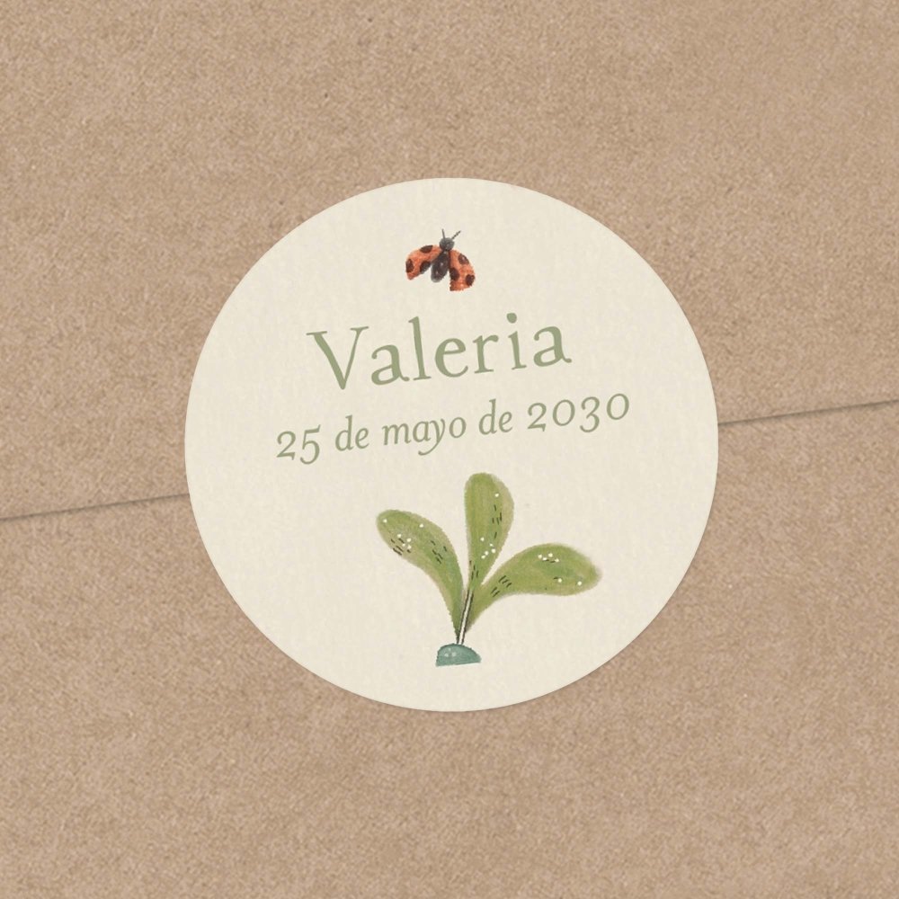 Flor de saúco