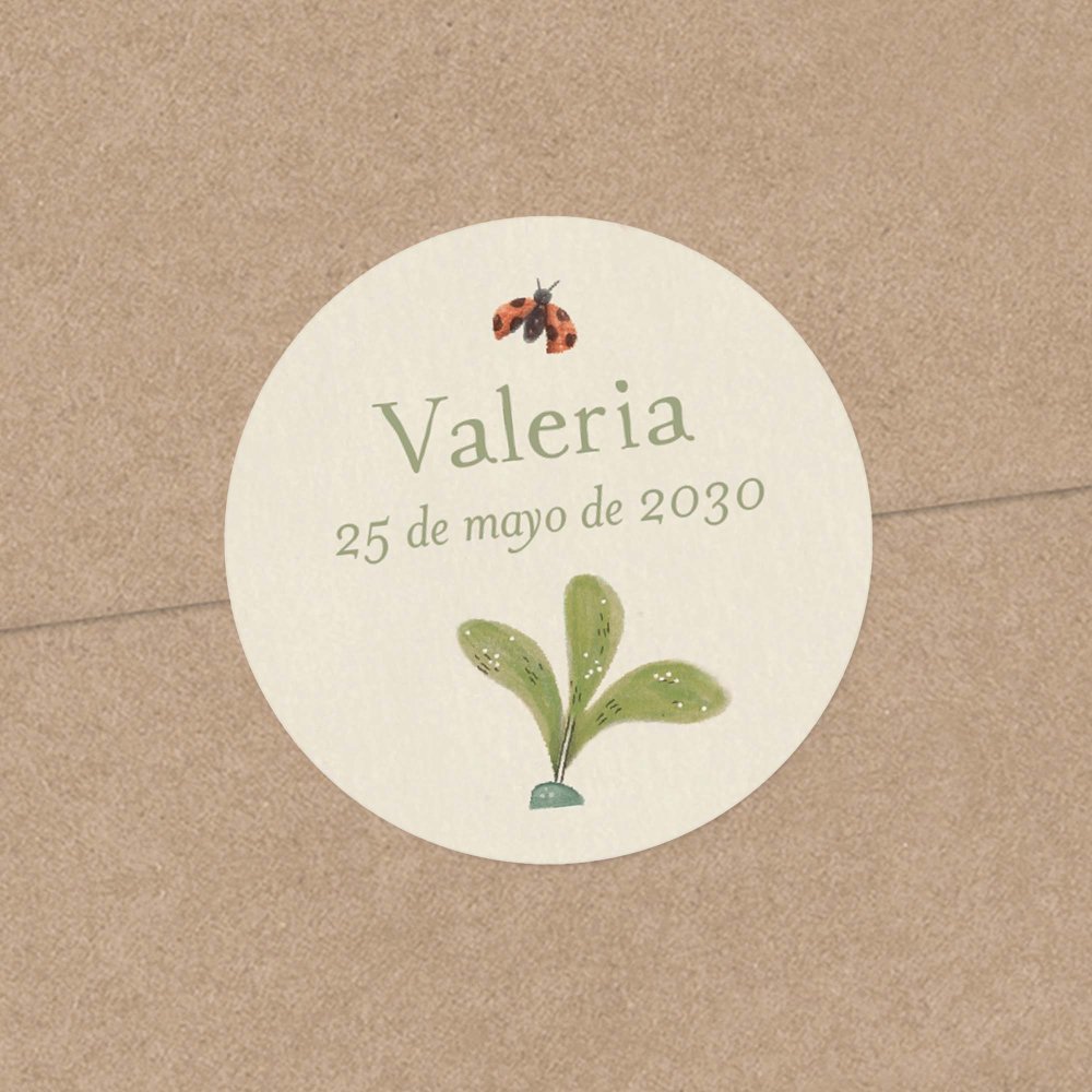 Flor de saúco