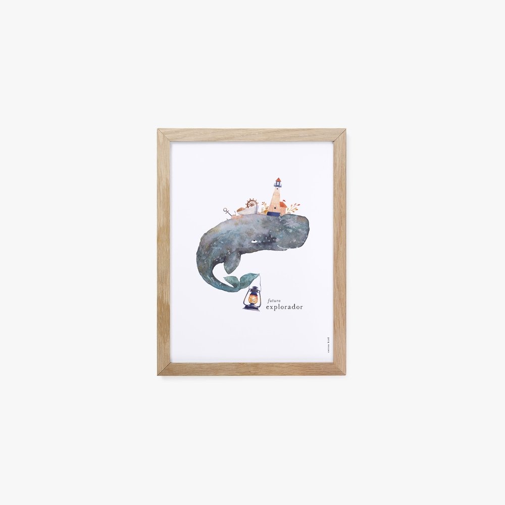 Explorateur 1