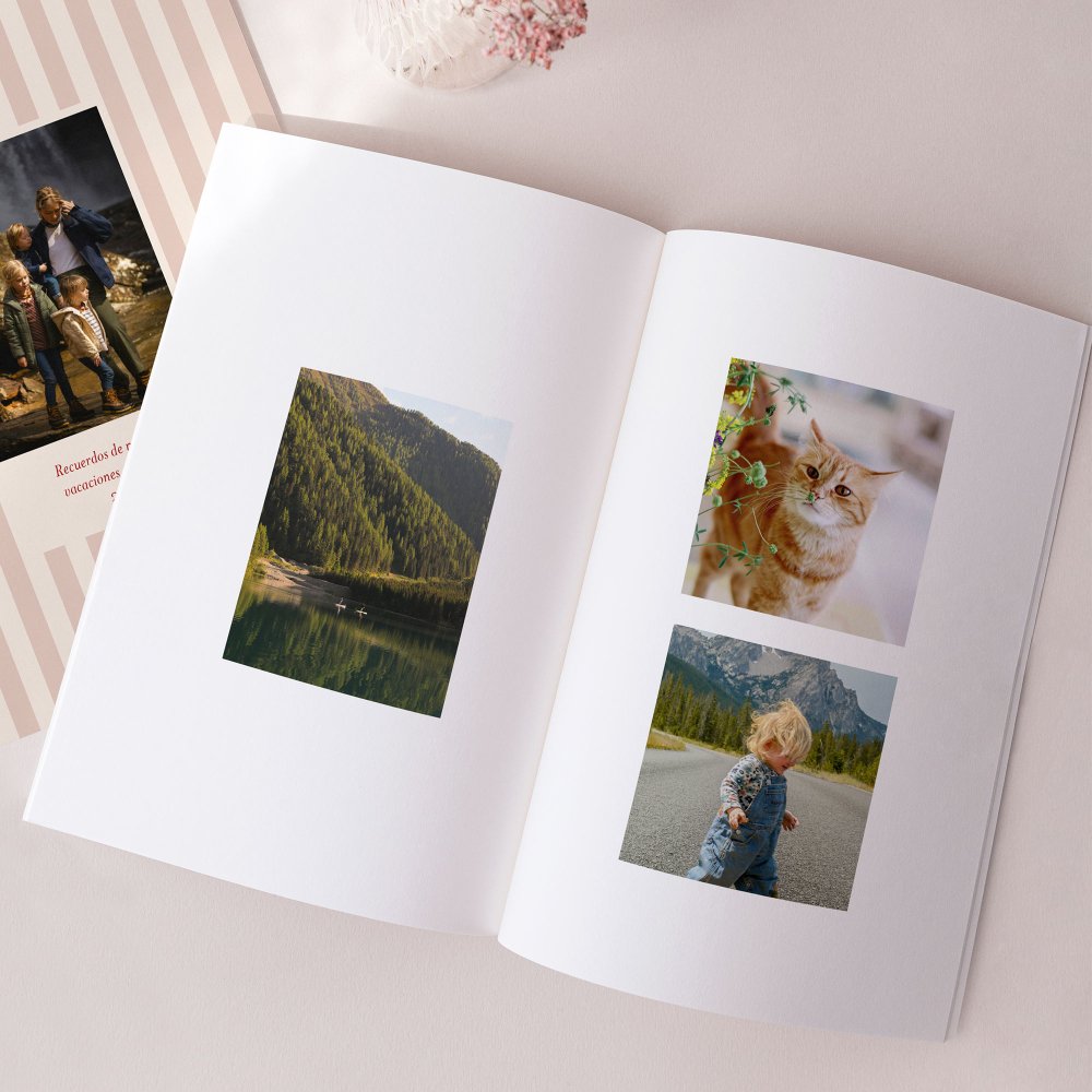 le Petit Quotidien - 2