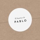 Pequeño oso pardo