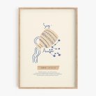 Mi signo I