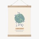 Mi signo I