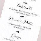 Plume