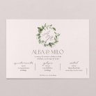 Amedeo