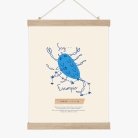 Mi signo I