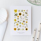 Girasoles