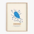 Mi signo I