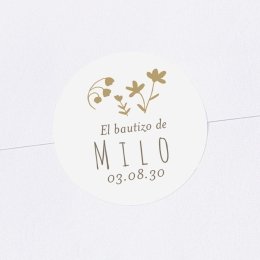 Pequeña lana