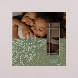 Abeto navideño - Verde bosque