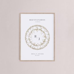 Gypsophila