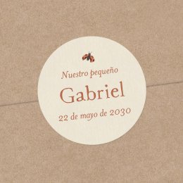 Zanahorita