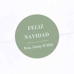 Adorno vintage - Follaje navideño