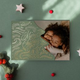 Abeto navideño - Verde bosque