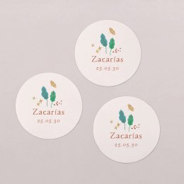 Mochica