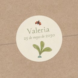 Flor de saúco