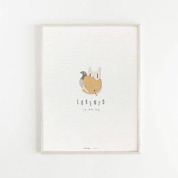 Chat perché