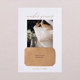 Timeless Love I