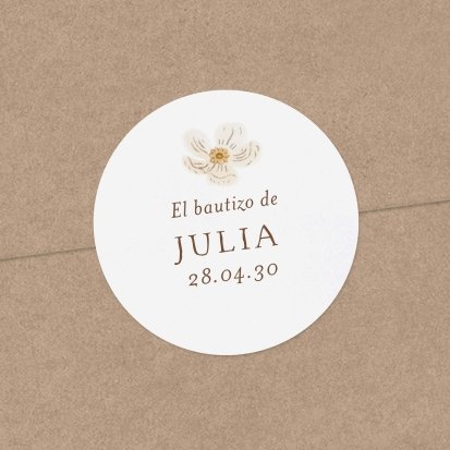 Rosa blanca