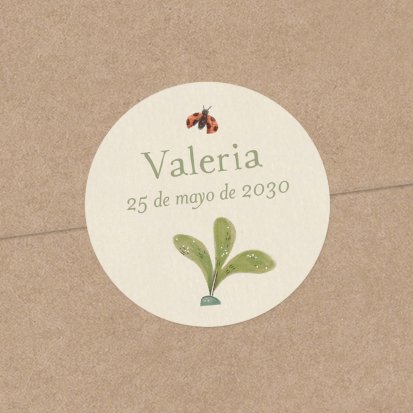 Flor de saúco