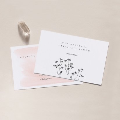 Délicate & Co