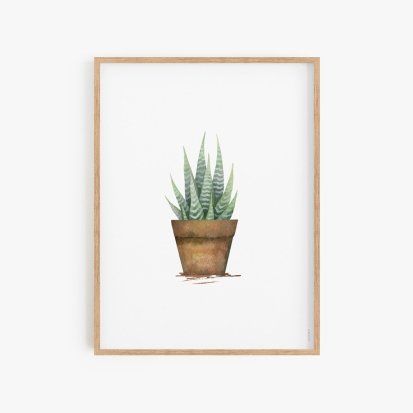 cactus 1