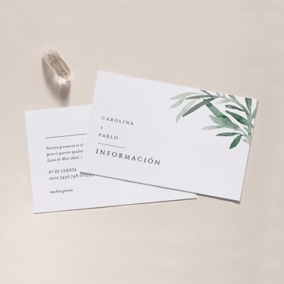 Olea