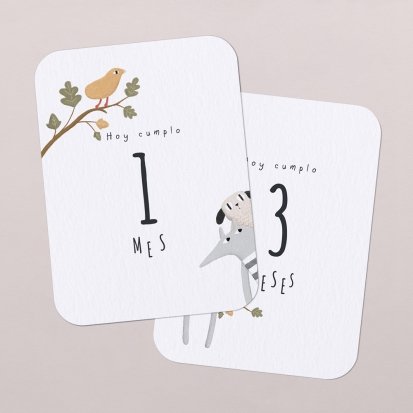 Tarjetas meses bebé - Cotton Bird