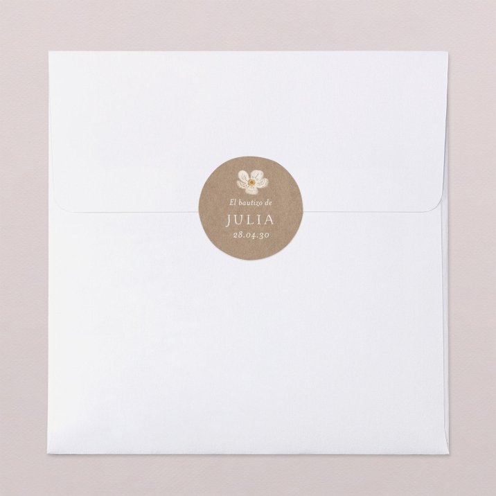Rosa blanca kraft 