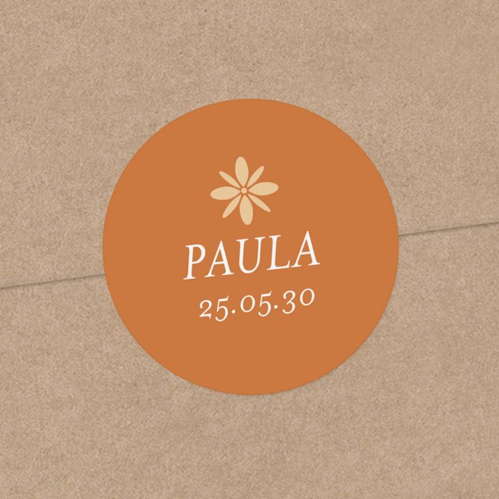 Fotomatón - terracota