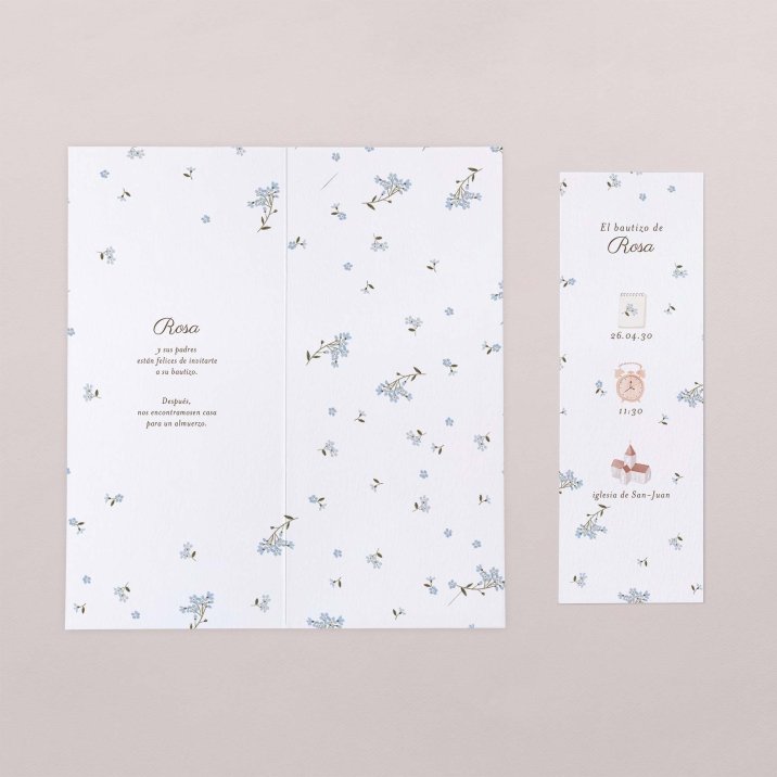 Little myosotis