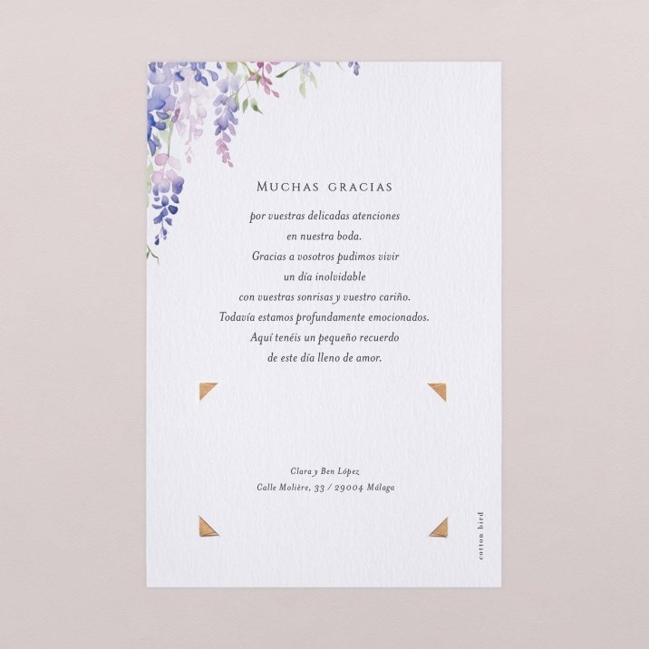 Wisteria