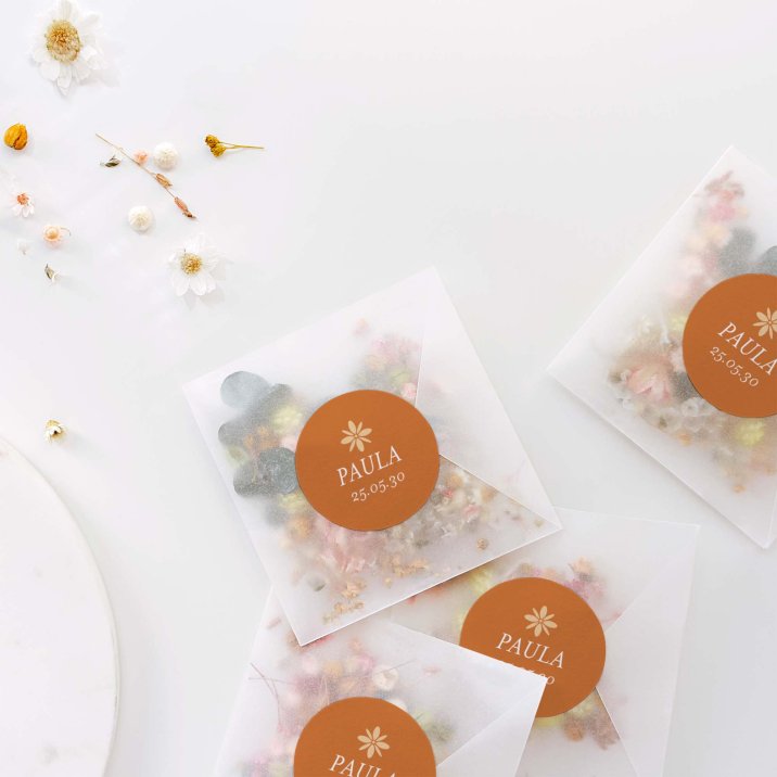 Fotomatón - terracota