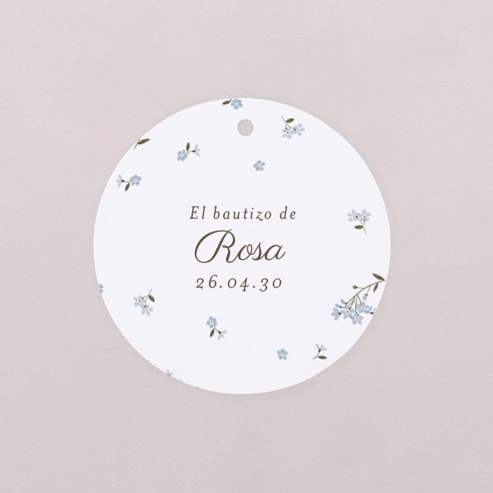 Little myosotis
