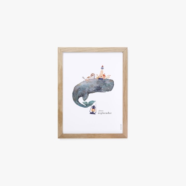 Explorateur 1