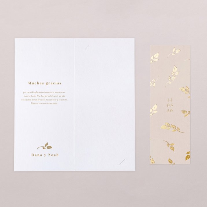Saúco - Oro